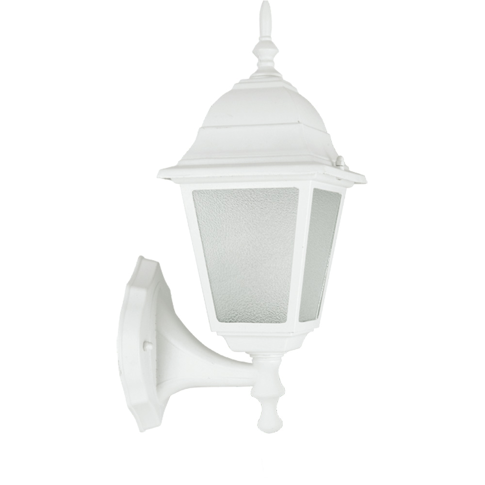 Уличный светильник, потолочный IP44. Белый. 2*E27, 60W 220V Arte Lamp Lanterns A1826PF-2WH