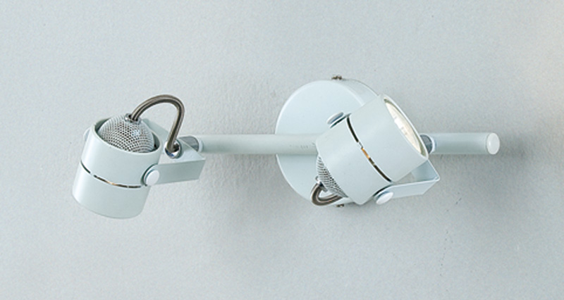 CL525520.CitiLux.Настенно-потолочный светильник (Спот).Белый.2*GU10,50W 220V