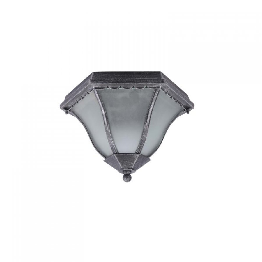 Уличный светильник, потолочный IP44. Черное серебро. 2*E27, 60W 220V Arte Lamp Lanterns A1826PF-2BS