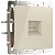 Розетка Ethernet RJ-45 Кат.5е. Слоновая кость. Слоновая кость. Werkel W1181003