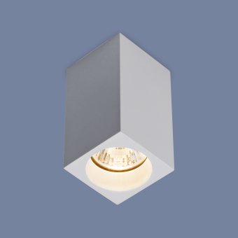 Elektrostandard Светильник потолочный точечный 1 * 50W GU10 220-230V 1085 GU10 (a040989)