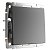 Выключатель 1-клавишный IP20 Графит матовый. Графит матовый.Werkel. W1110064