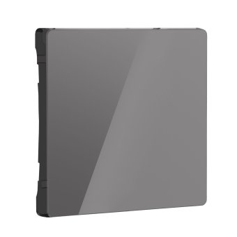 Клавиша для 1-клавишного выключателя, Графит глянец накладка на механизм.Werkel. W1119044